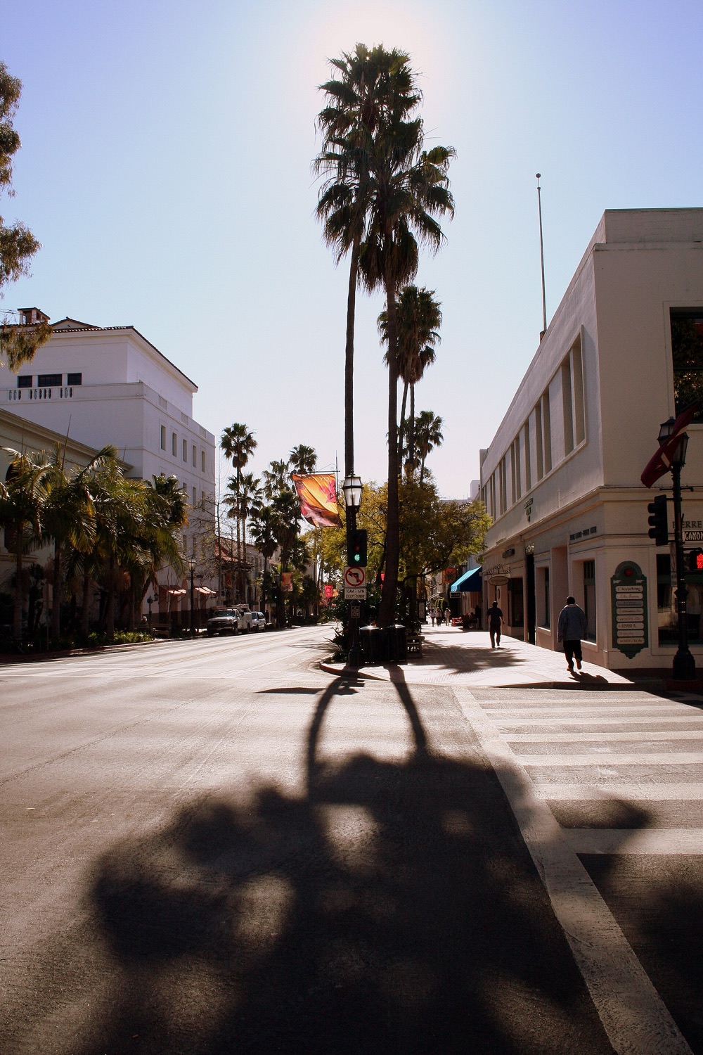 Palmeras sobre State Street, Santa Bárbara
